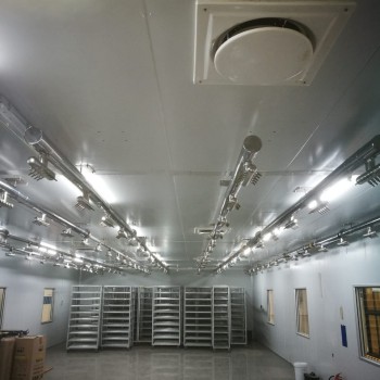 Stainless Steel Piping 5